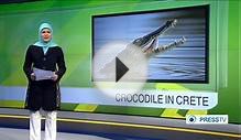 Large crocodile spotted in man-made lake on Greek island